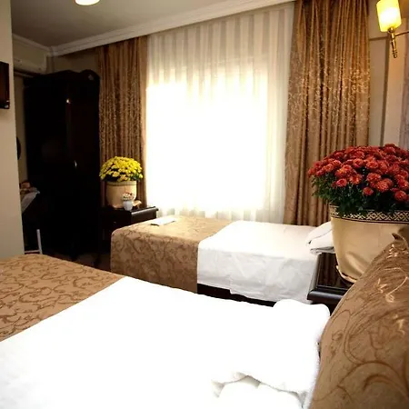 Hotel Sultanahmet Park Stambuł