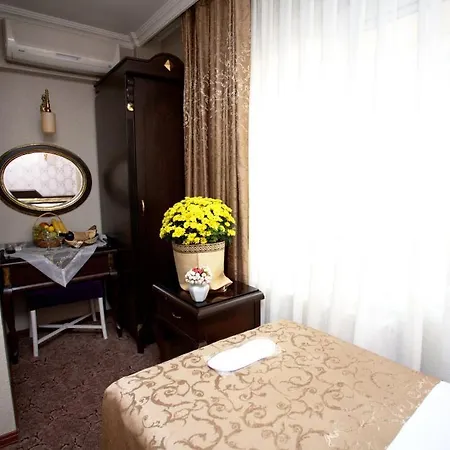 Hotel Sultanahmet Park