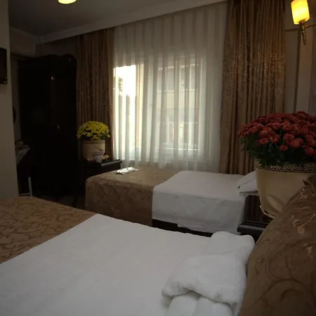 Hotel Sultanahmet Park
