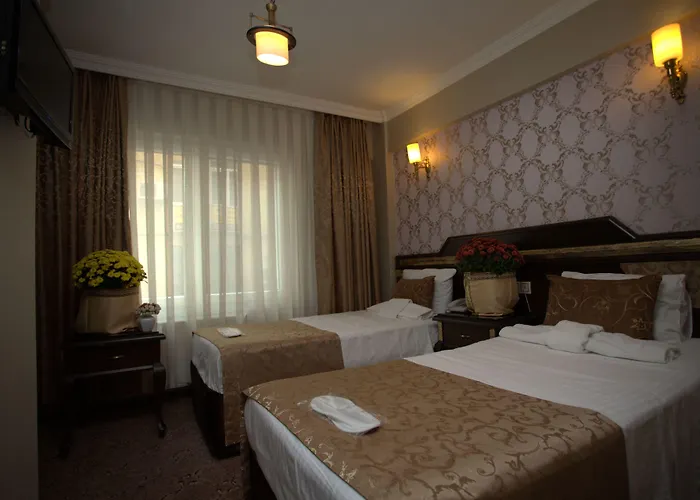 Hotel Sultanahmet Park 3*