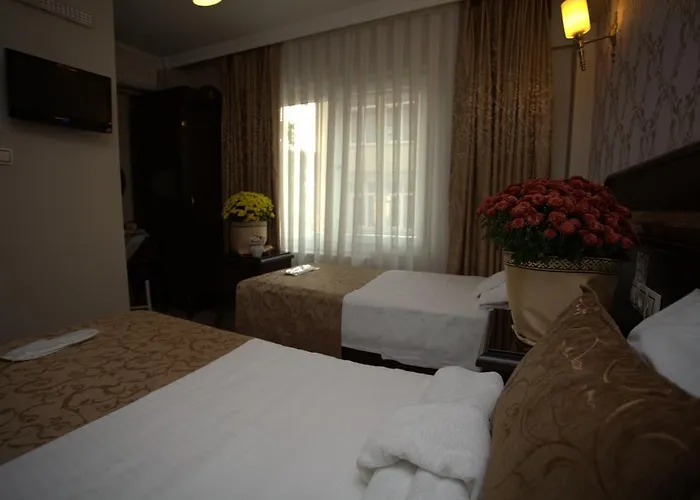 Otel Sultanahmet Park