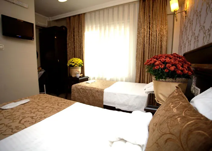 苏丹艾哈迈特公园酒店