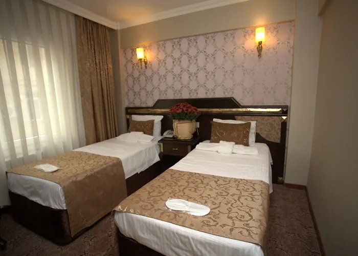 苏丹艾哈迈特公园酒店