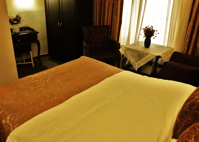 苏丹艾哈迈特公园酒店